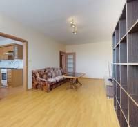 Living room in a three-room apartment with a sofa and a wooden decor floor.