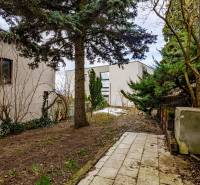 A garden with a path surrounded by greenery and trees near a house on Medzierka in the Old Town.