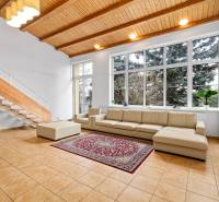 Living room in a family house with a large window, sofa, and wooden ceiling.