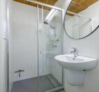 Bathroom with a sink, mirror, and shower in a family house.