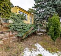 A family house on Medzierka in Bratislava - Old Town with windows surrounded by greenery and trees.