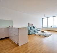 Sale One bedroom apartment, One bedroom apartment, Bajkalská, Bratisla