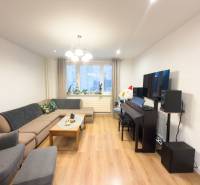Living room in a 4-room apartment with a sofa and wooden decor flooring.