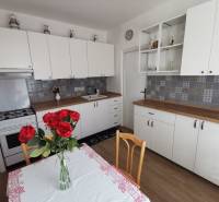 A kitchen in a 2-room apartment with white cabinets, patterned tiles, and a table with roses.