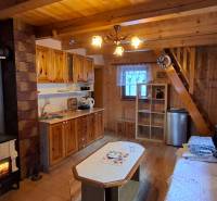 A wooden interior of a cabin with a fireplace, kitchen, and floor with wooden decor.