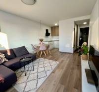 Living area of a 2-room apartment with a wooden decor floor and a sofa.