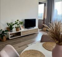 Living room with a television, plants, and wood-patterned flooring in a two-room apartment.