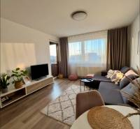 Living room with a sofa, television, and floor with wood decor in a 2-room apartment.