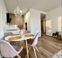 Dining area in a 2-room apartment with a wood-patterned floor and a pendant light.