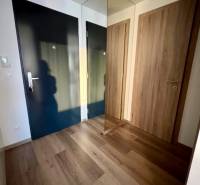 A hallway in a 2-room apartment with a wooden decor floor and a built-in wardrobe.