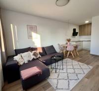 Interior of a 2-room apartment with a sofa, carpet, and a kitchenette with a dining table.