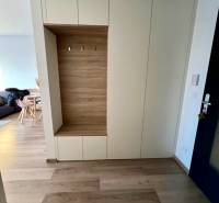 Entrance hallway with storage space and wooden decor flooring in a 2-room apartment.