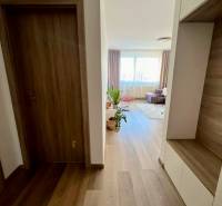 A hallway of a 2-room apartment with a wooden decor floor, leading to a bright living room.