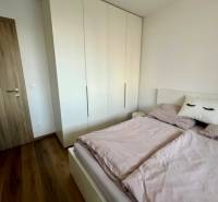 Bedroom in a 2-room apartment with a bed, wardrobe, and wooden decor flooring.