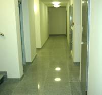 A corridor in offices with tiled floor and white walls.