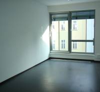 Offices with large windows and wood-patterned flooring.