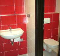 Bathroom with a white sink and toilet, red and white tiles. Offices.