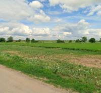 Greenery and cloudy sky on Družstevná Street in Blatné, plots - housing.