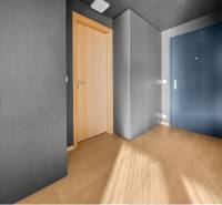 Entrance hall of a 2-room apartment with wood-patterned flooring and gray walls.
