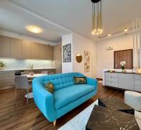 Living room in a two-room apartment with a wooden decor floor and a blue sofa.