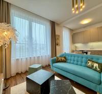 Living room in a two-room apartment with wooden decor, a blue sofa, and a kitchen unit.