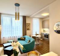 Living room in a two-room apartment, seating area, kitchenette, and floor with wood decor.