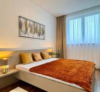 Bedroom in a 2-room apartment with a bed and a wooden decor floor.
