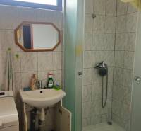 A bathroom in a family house with a shower, a sink, and a washing machine.