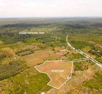 EXCEPTIONAL FARMLAND & INVESTMENT OPPORTUNITY BORDERING JOZANI PARK