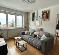 Living room in a two-room apartment with a wooden decor floor, a comfortable couch, and a kitchen.