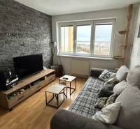 Living room in a two-room apartment with a stone wall, wooden decor flooring, and a sofa.