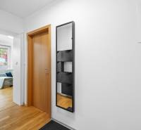 A narrow hallway with a wood-patterned floor and a large mirror in a 2-room apartment.