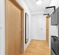 A hallway with a wooden decor floor, a mirror, and black storage cabinets in a 2-room apartment.
