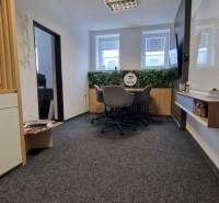 Offices with carpeted floors, a desk and chairs, decorated with greenery.