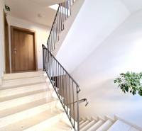 A bright staircase with a railing and a plant next to the entrance of a 3-room apartment.