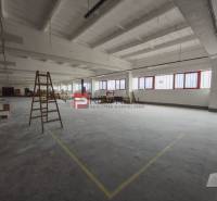 A space with high ceilings, light, and a ladder in the production area.
