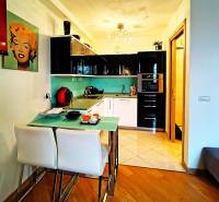 A kitchenette in a two-room apartment with a wooden decor floor and colorful walls.