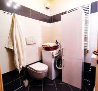 A bathroom in a 2-room apartment with a wall-hung toilet, washing machine, and dark tiles.