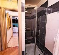 Bathroom in a 2-room apartment with a modern shower and a wooden decor floor.