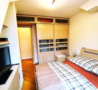 Bedroom in a two-room apartment with a wood-decor floor, a cabinet, and a television.