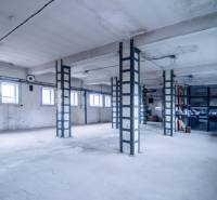Spaces with columns and windows used as warehouses and halls.