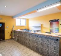Interior of a store in warehouses and halls with a counter, shelves, and color samples on the wall.