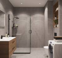 Bathroom with a shower, sink, washing machine, and shelves in a studio apartment.