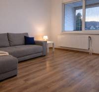 Living room in a 3-room apartment with a sofa and a wooden decor floor.