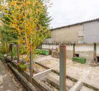 An autumn garden at a family house in Veľké Dvorníky with colorful leaves on the trees.