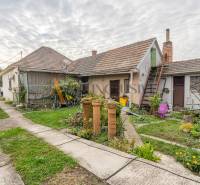 The yard of a family house in Veľké Dvorníky with a lawn, plants, and buildings.