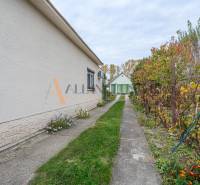 The sidewalk runs alongside a family house in Veľké Dvorníky with a garden full of plants.