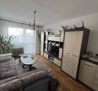 Living room in a 4-room apartment with carpets, plants, and a wooden decor floor.