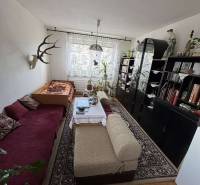 Living room with a sofa, armchairs, shelves, plants, and decorations in a 4-room apartment.