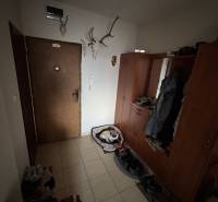 A hallway in a 4-room apartment with coat hooks, a dog bed, and decorative antlers on the wall.